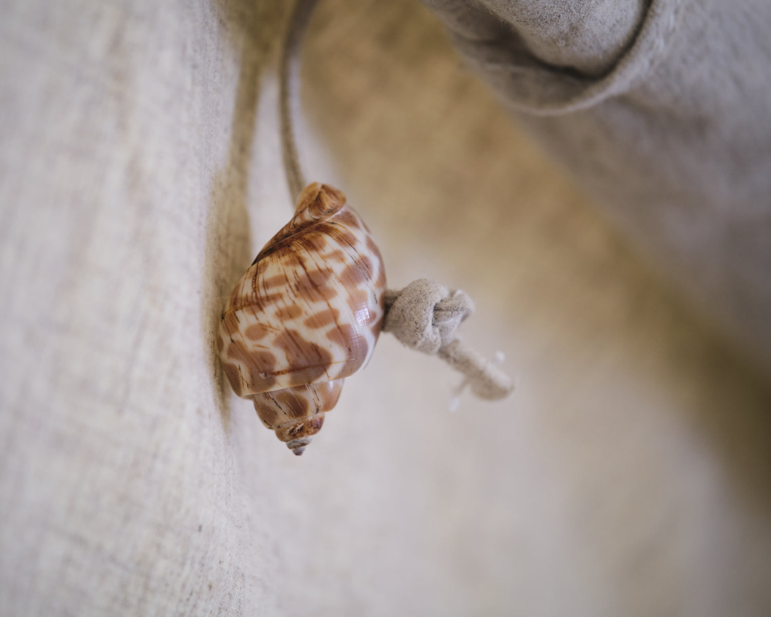 nordisk-asgard-eco-12-6-glamping-zelt-sandshell image 7