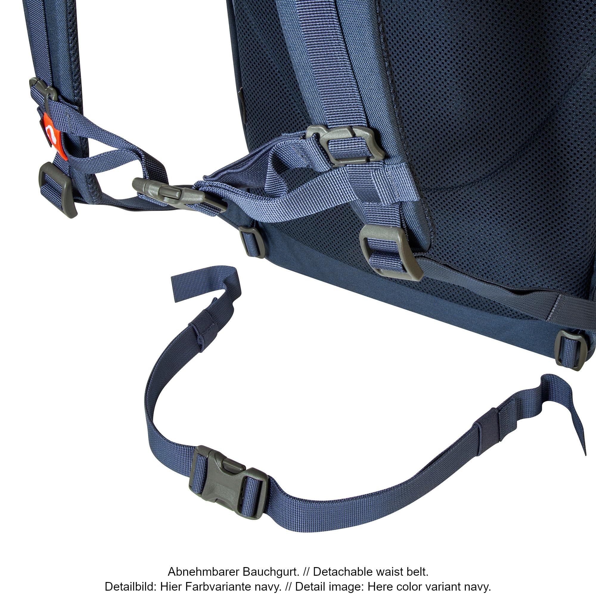 tatonka-grip-rolltop-pack-34-daypack-34-liter-mit-15-zoll-laptopfach image 5